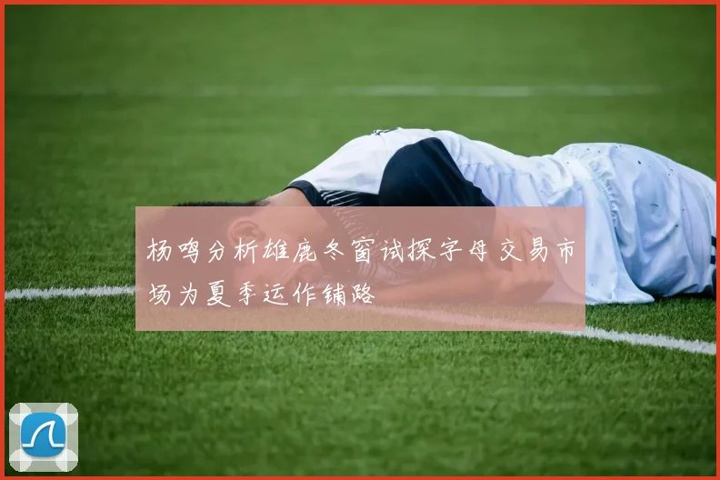 杨鸣分析雄鹿冬窗试探字母交易市场为夏季运作铺路