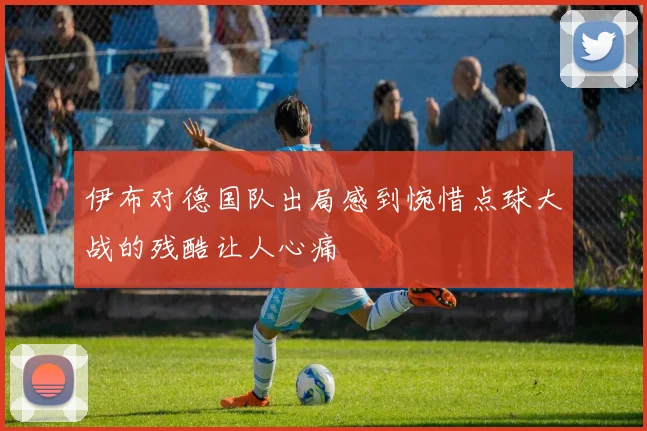 伊布对德国队出局感到惋惜点球大战的残酷让人心痛
